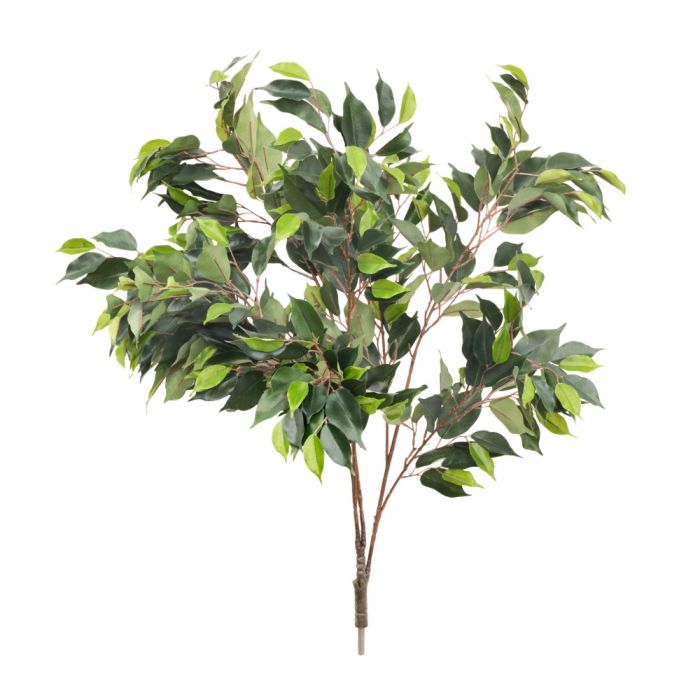 85cm MultiBranch Ficus Branch