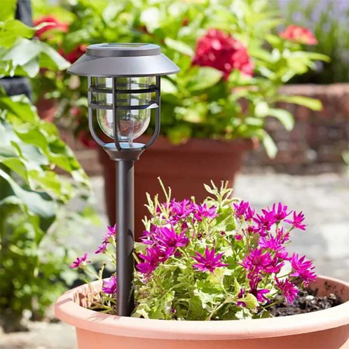Avant Stake Light - 5L Lifestyle Day TIme Avant Stake Light - 5L Lifestyle Day TIme