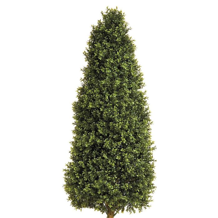 2.5ft (76cm) Boxwood Tower - Green main product photo