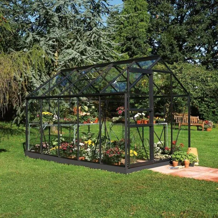 Halls Popular Greenhouse - Black - Toughened - 610 - 6ft x 10ft