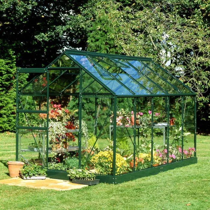Halls Popular Greenhouse - Green - Toughened - 610 - 6ft x 10ft