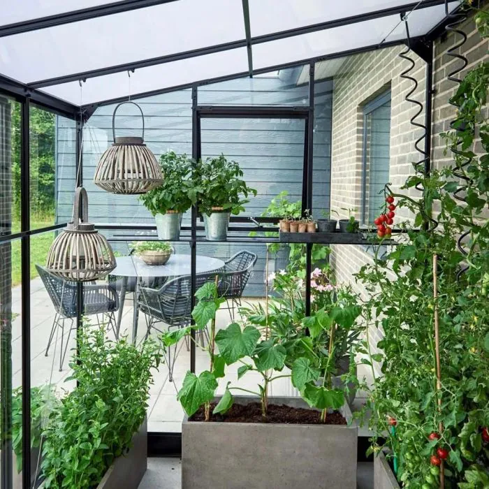 Halls Qube Lean-To Greenhouse - 612 - 6ft x 12ft
