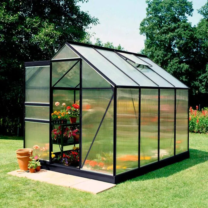 Halls Popular Greenhouse - Black - Polycarbonate - 68 - 6ft x 8ft