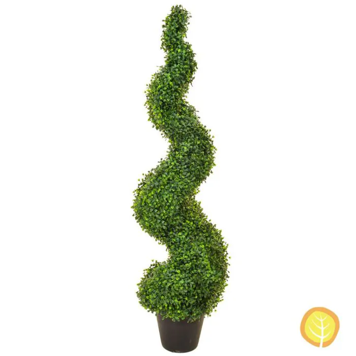Topiary N Boxwood Spiral (120cm)