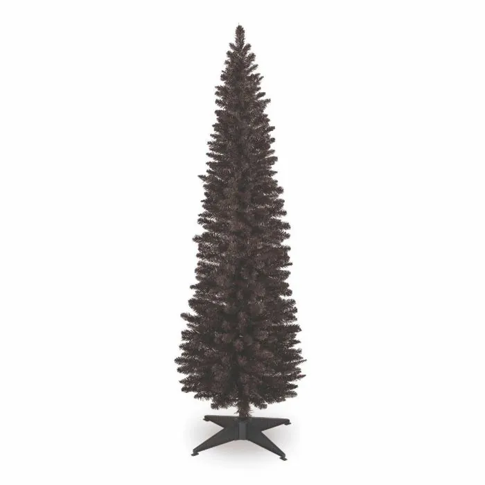 7ft (210cm) Black Pencil Pine