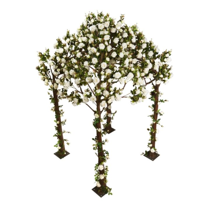 Cream Rose Pergola (200cm x 200cm x 320cm) main product photo