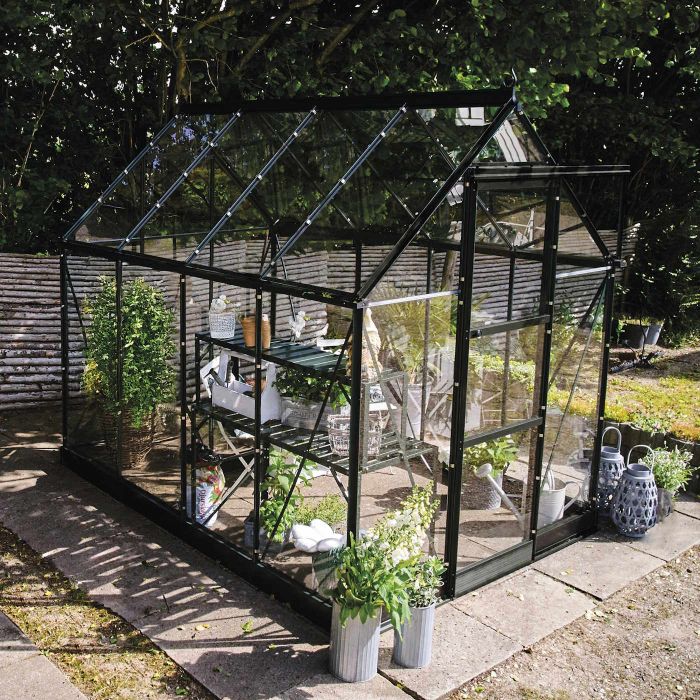 Halls ICON 6 Greenhouse - 4.9m² - 6ft x 8ft - Toughened - Black main product photo