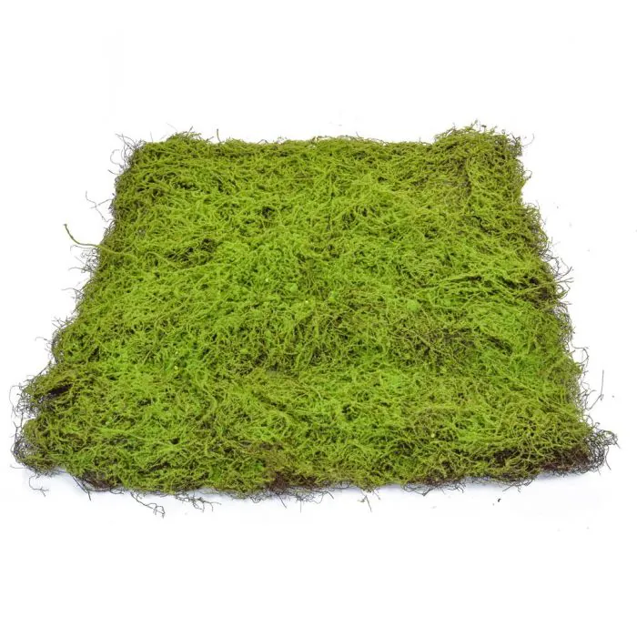90cm x 90cm Topiary Moss Pad - Green 90cm x 90cm Topiary Moss Pad - Green