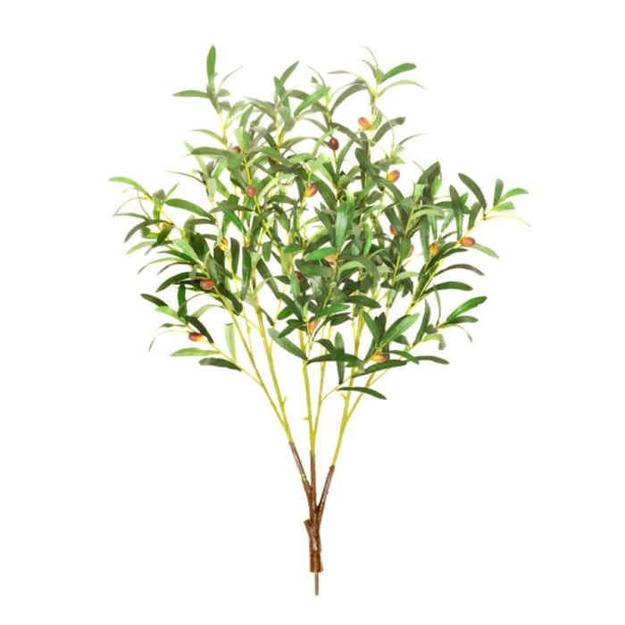 85cm MultiBranch Olive Branch main product photo