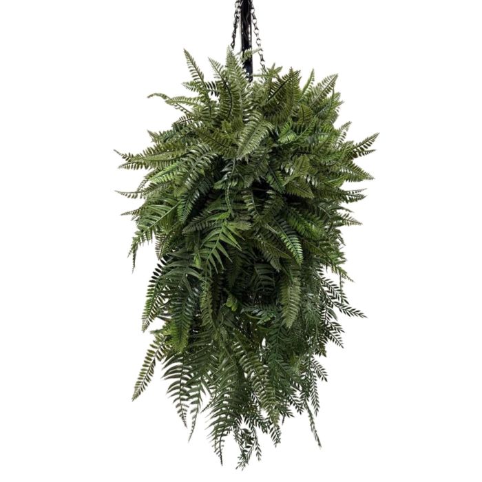 60cm x 70cm Long Bushy Fern - Hanging Ball main product photo