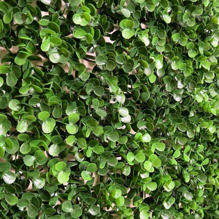 Sinica Leaf Green Wall Panel 1m x 1m main product photo