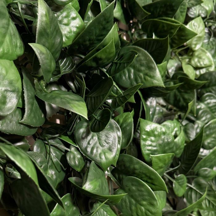 Ficus Leaf Wall Panel 1m x 1m main product photo