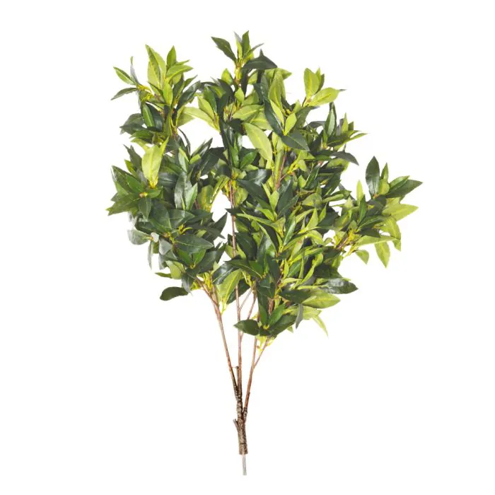 85cm MultiBranch Bay Branch