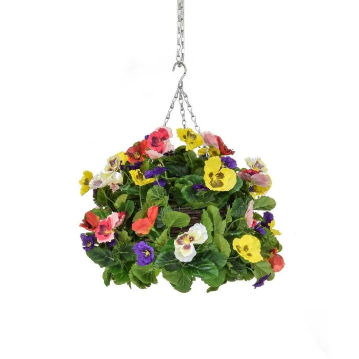 25cm Hanging Basket Pansy Ball Six Colour Mix