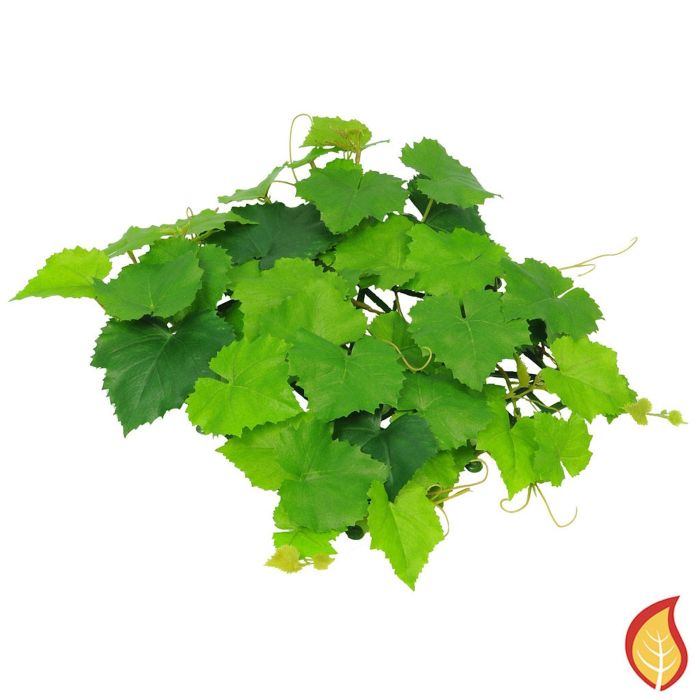 Topiary Mat Grape Vine 25cm x 25cm (Fire Resistant) main product photo