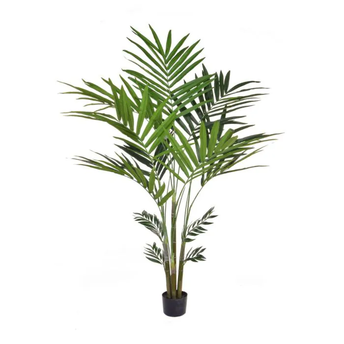 6ft (180cm) Kentia Palm Artificial Tree