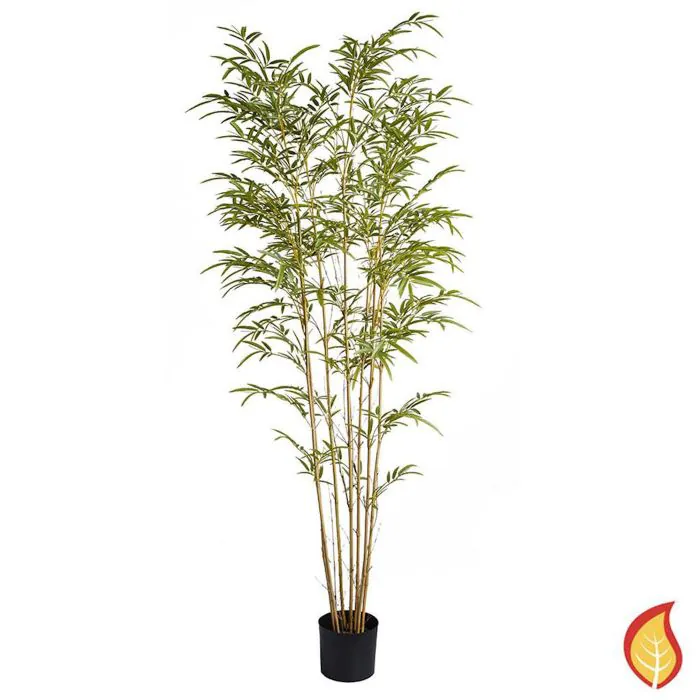 6ft (180cm) Bamboo Mini (Fire Resistant) 6ft (180cm) Bamboo Mini (Fire Resistant)