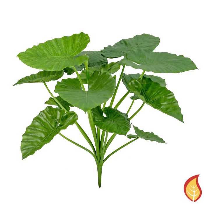 84cm Plants Alocasia Calidora (Fire Resistant) main product photo