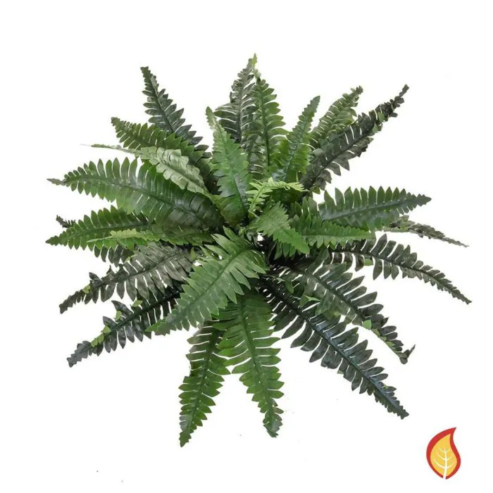 35cm x 70cm Boston Fern (Fire Resistant)
