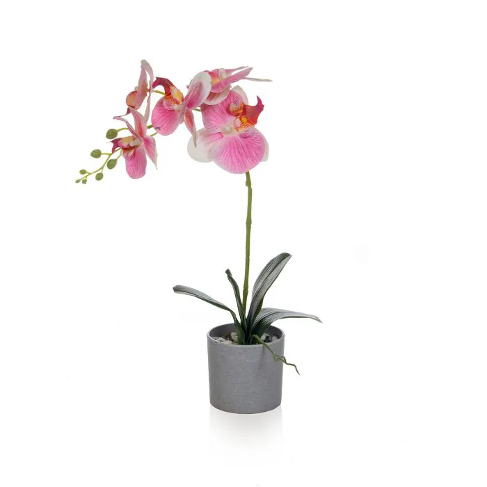 49cm Orchid Pink Single in Grey Pot 49cm Orchid Pink Single in Grey Pot