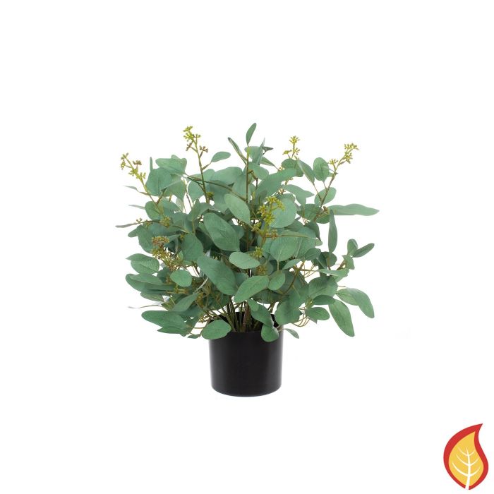 40cm Plants Poppel Bush (Fire Resistant) main product photo