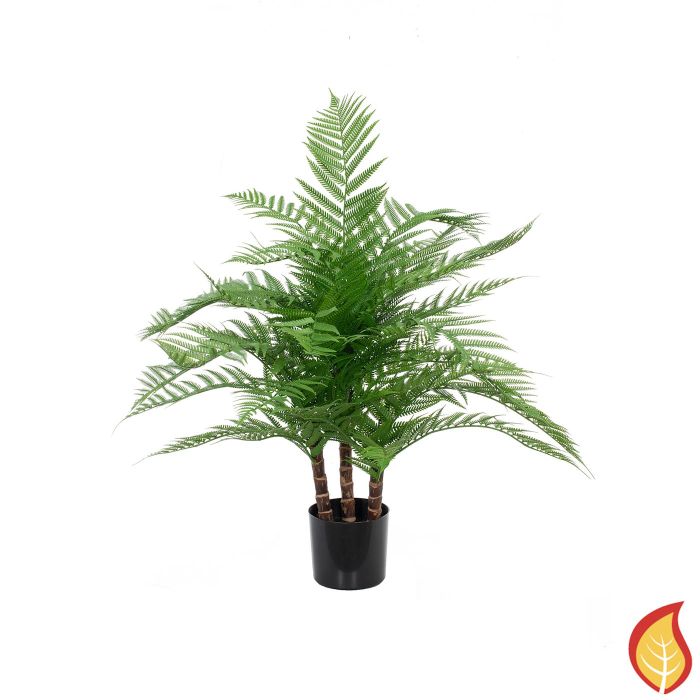 40cm Plants Alsophila (Fire Resistant) main product photo