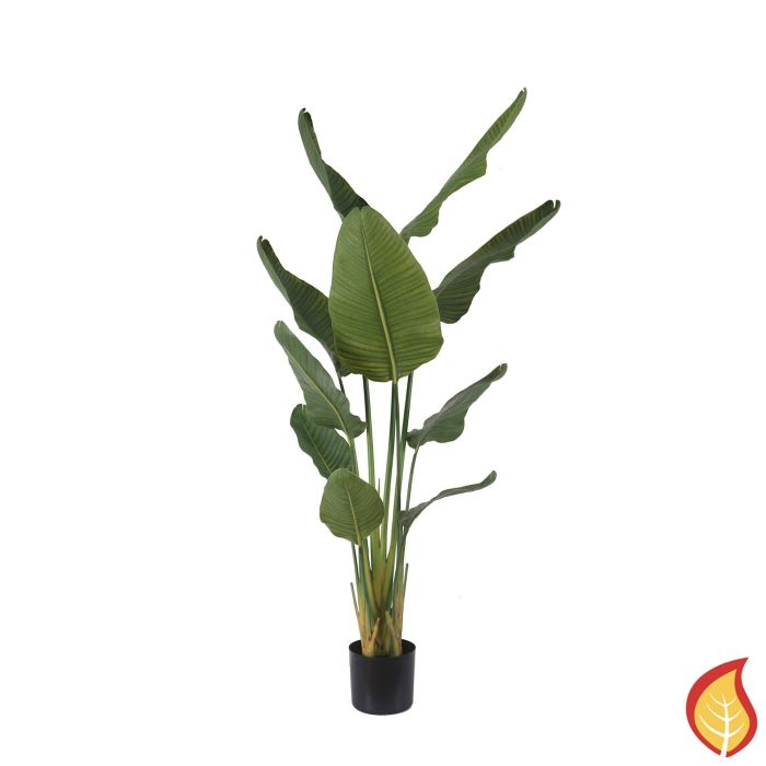 5.5ft (160cm) Palm Traveller (Fire Resistant) main product photo