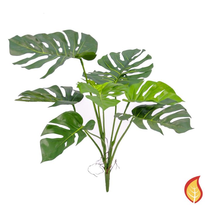 75cm Plants Split Philo Bush (Fire Resistant) main product photo