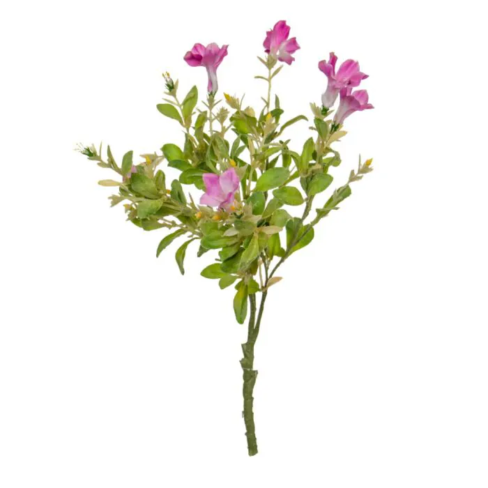 Plants Flowering Petunia Hanging Plants Flowering Petunia Hanging