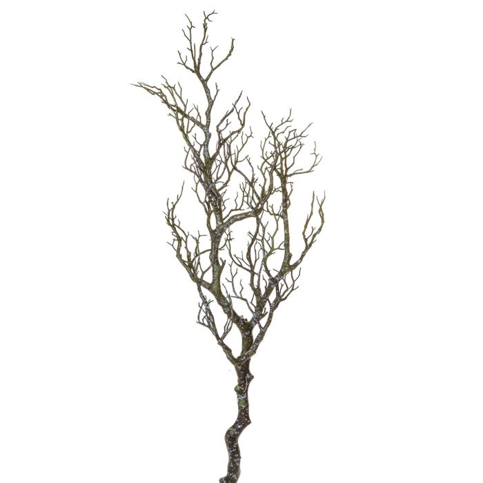 96cm Wood Green Branch main product photo