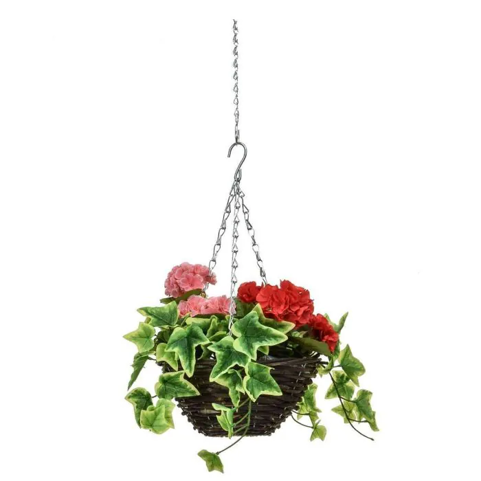25cm Hanging Basket Geranium - Red & Pink