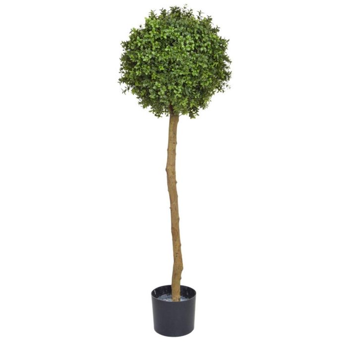 Topiary Buxus Ball Tree Pr 120cm UV main product photo
