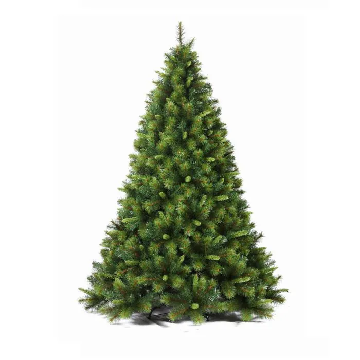 7Ft Amsterdam Pine 7Ft Amsterdam Pine