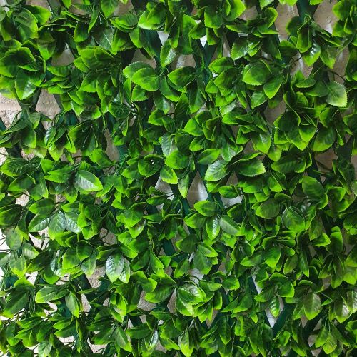 100 cm x 200 cm Laurel Leaf Trellis (Green PVC Backing)
