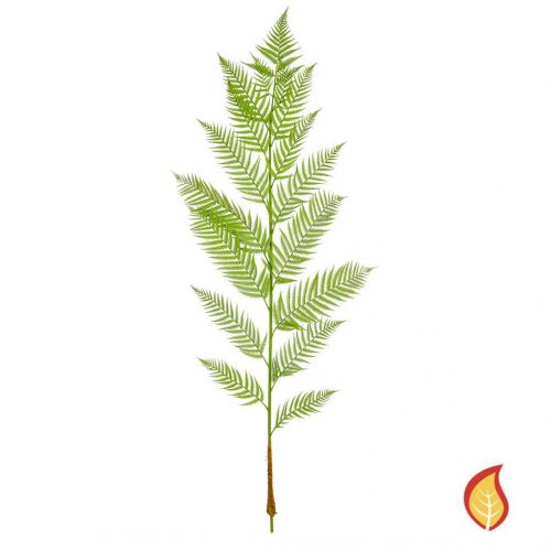 184cm Palm Alsophila Foliage (Fire Resistant)