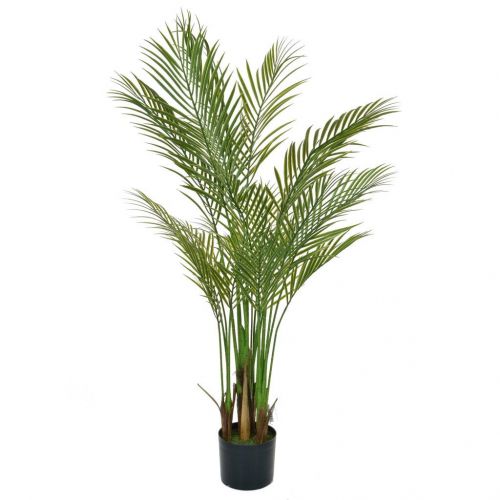 5ft (150cm) Palm Areca (Fire Resistant & UV Protected)