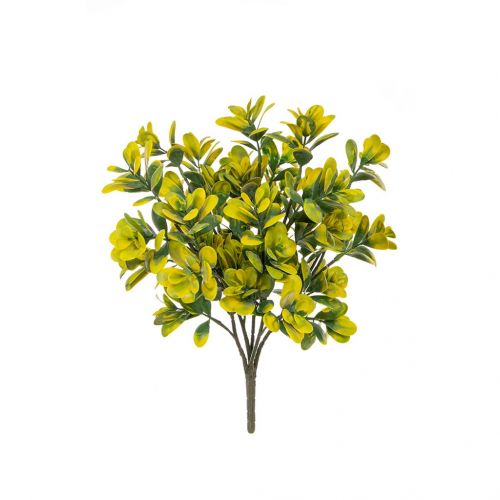 40cm Boxwood Bush Green and Yellow (Fire Resistant & UV Protected)