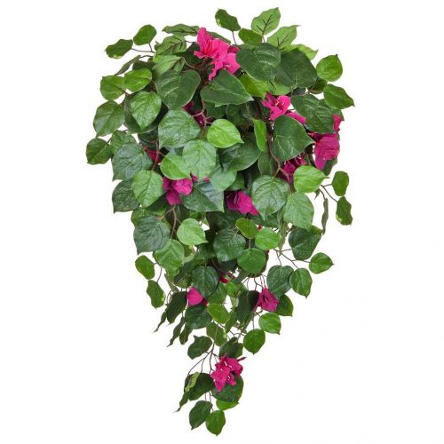 100cm Pink and Green Bougainvillea (Fire Resistant)