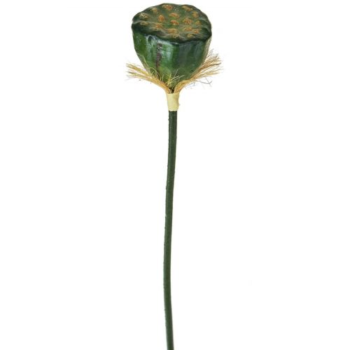 60cm Lotus Pod Green