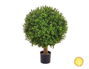 Topiary Buxus Ball (40cm)