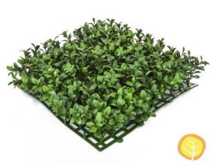 25 cm x 25 cm Topiary Mat "Boxwood / Buxus" - Outdoor