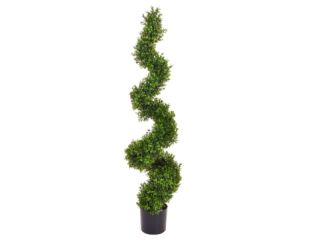 120cm Topiary Buxus Spiral