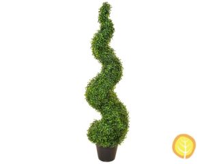 Topiary N Boxwood Spiral (120cm)
