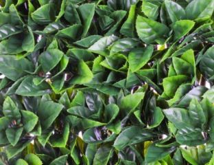 100 cm x 200 cm Gardenia Leaf Trellis