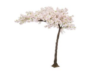 11ft (320cm) MultiBranch Canopy Tree Cherry Blossom – Pink
