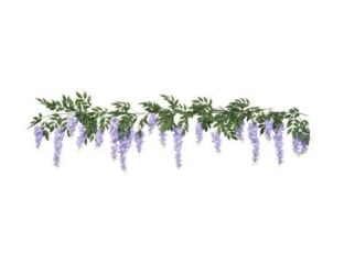 240cm (8ft) Lilac Wisteria Garland