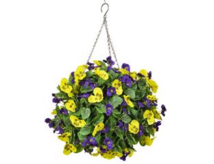 30cm Hanging Basket Pansy Ball - Purple & Yellow