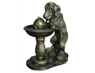 Solar Dog at Fountain