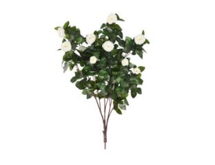 85cm Cream Camellia Branch