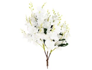 85cm (3ft) MultiBranch Cream Orchid Branch